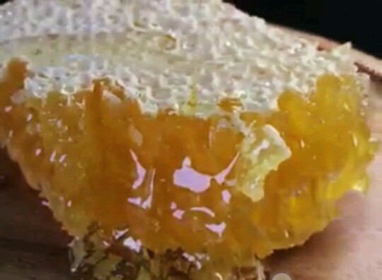 阿壩中蜂的養殖方法有哪些（四川阿壩中蜂春季飼養技術）