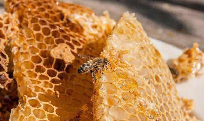 一張蜂脾有多少蜂蜜 一張蜂脾有多少蜂蜜