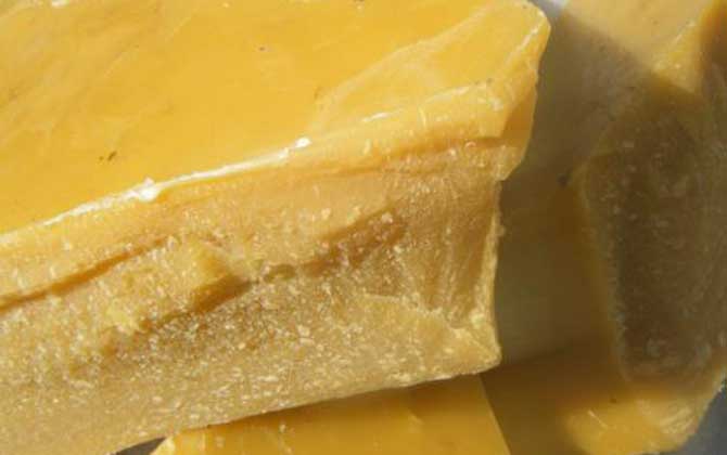 蜂蠟對(duì)蜜蜂有什么用 蜂蠟對(duì)蜜蜂有什么用