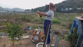 什么養(yǎng)殖業(yè)比較靠譜掙錢（養(yǎng)殖業(yè)什么最穩(wěn)成本低）