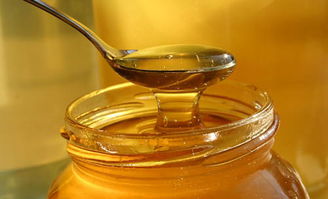 浙江有哪些蜜粉源植物(浙江養(yǎng)蜂業(yè)之蜜粉源植物介紹) 浙江有哪些蜜粉源植物(浙江養(yǎng)蜂業(yè)之蜜粉源植物介紹)