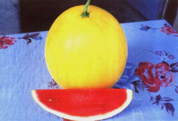 無(wú)籽西瓜有哪些品種（15種無(wú)籽西瓜品種介紹）