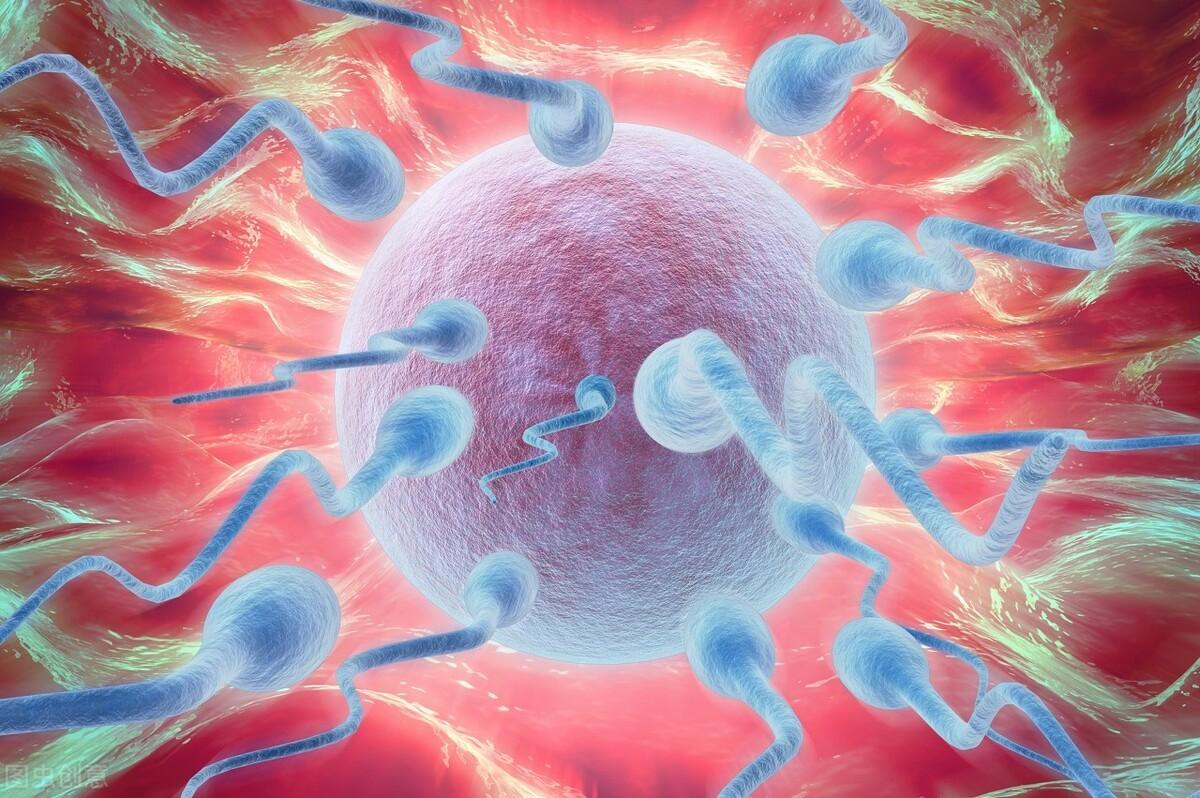 為什么雄蜂和蜂后交配完就會(huì)死 為什么雄蜂和蜂后交配完就會(huì)死