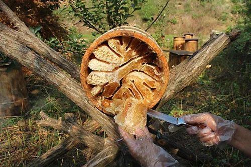 土法養蜂怎樣分蜂(土養分蜂方法) 土法養蜂怎樣分蜂(土養分蜂方法)