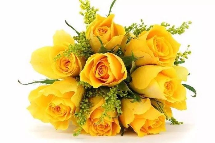 黃玫瑰花語是什么意思(黃玫瑰花語和象征意義) 黃玫瑰花語是什么意思(黃玫瑰花語和象征意義)