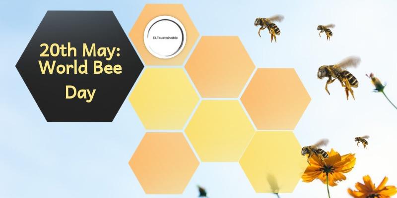 蜜蜂為什么老是圍著我轉(蜜蜂圍著轉的意思) 蜜蜂為什么老是圍著我轉(蜜蜂圍著轉的意思)