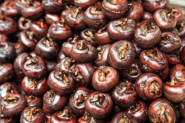 水果荸薺怎么讀(荸薺的正確發(fā)音) 水果荸薺怎么讀(荸薺的正確發(fā)音)