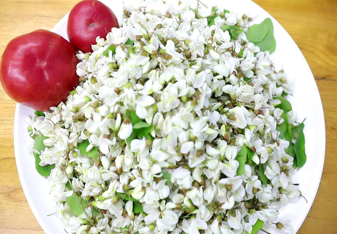 槐樹花有毒嗎(槐樹花介紹和不同食材吃法) 槐樹花有毒嗎(槐樹花的不同食材吃法)