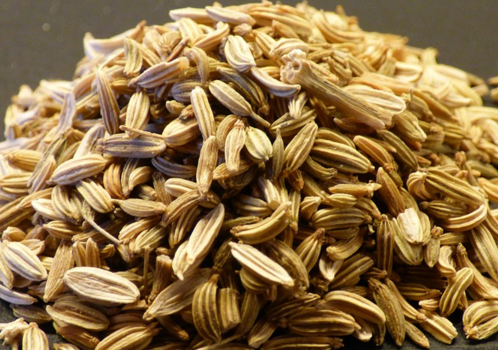 小茴香和大茴香有什么區別(大小茴香的區別方法) 小茴香和大茴香有什么區別(大小茴香的區別方法)