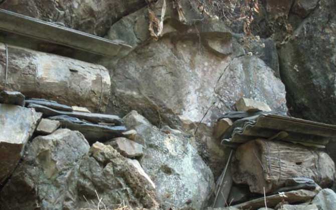 誘蜂用鹽真的有效果嗎？