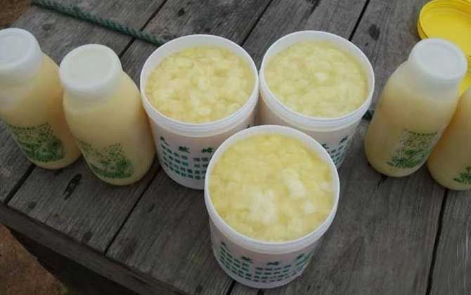 蜂王漿怎么吃最好？除了要適量以外，還要注意蜂王漿的禁忌人群！