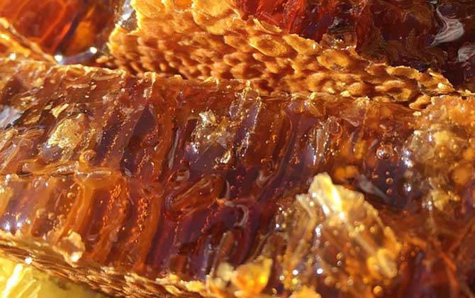 蜂巢酒的禁忌有哪些？除了不能過量飲用，還要警惕發生過敏反應！