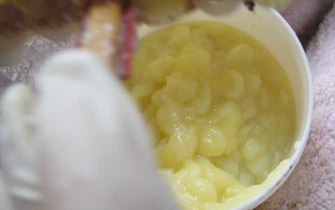 蜂王漿長期吃會雌激素過量嗎？不會，蜂王漿中雌激素含量并不高！