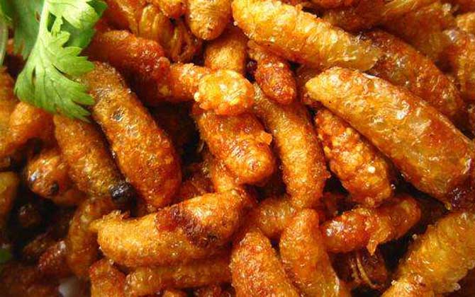 雄蜂蛹怎么吃最簡單？