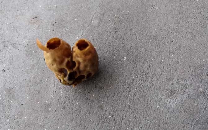 急造王臺一般幾天封蓋？