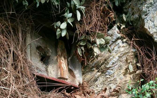 空蜂箱怎么引來蜜蜂？