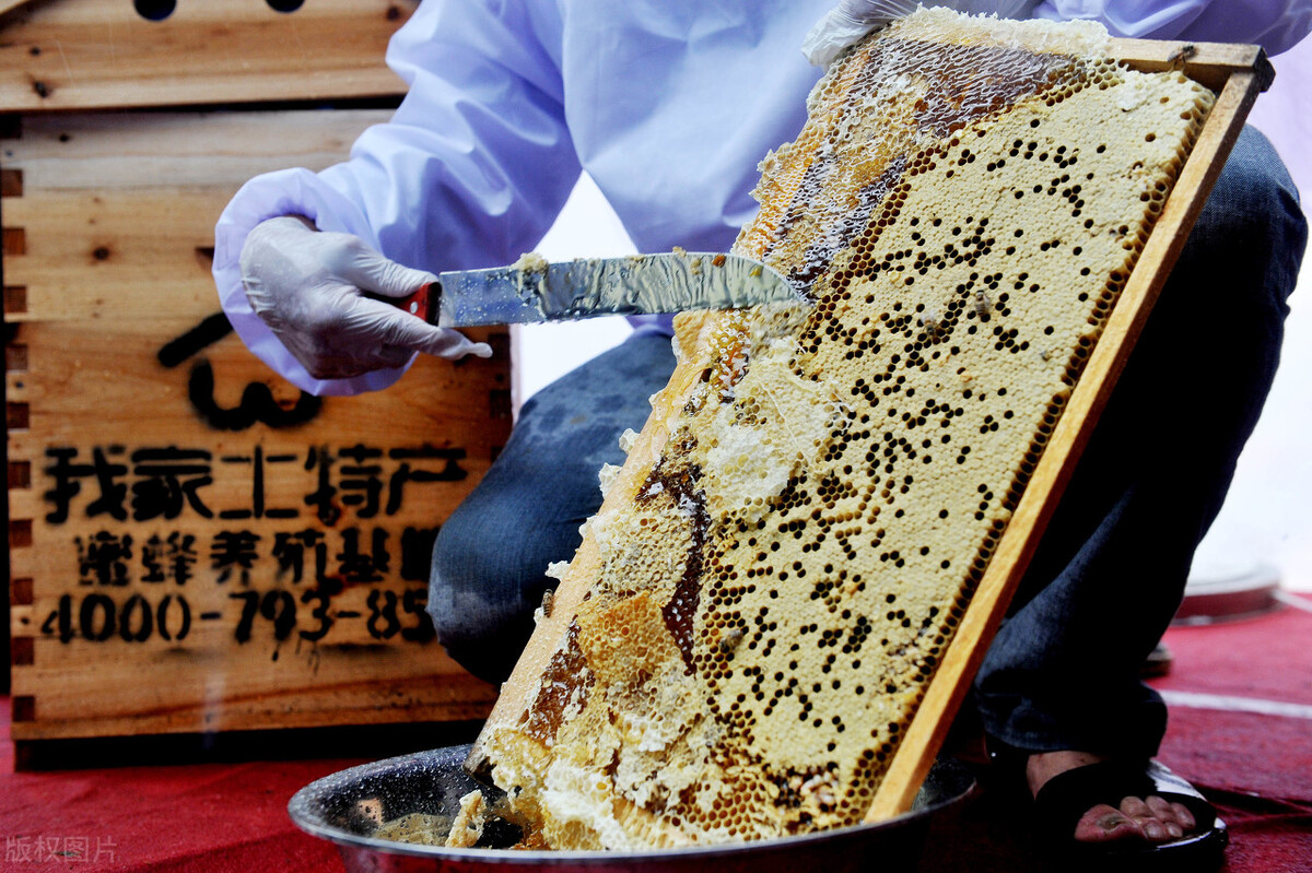 什么時(shí)候取蜜對(duì)蜂群的傷害最?。ㄈ∽叻涿蹖?duì)蜜蜂有影響嗎）