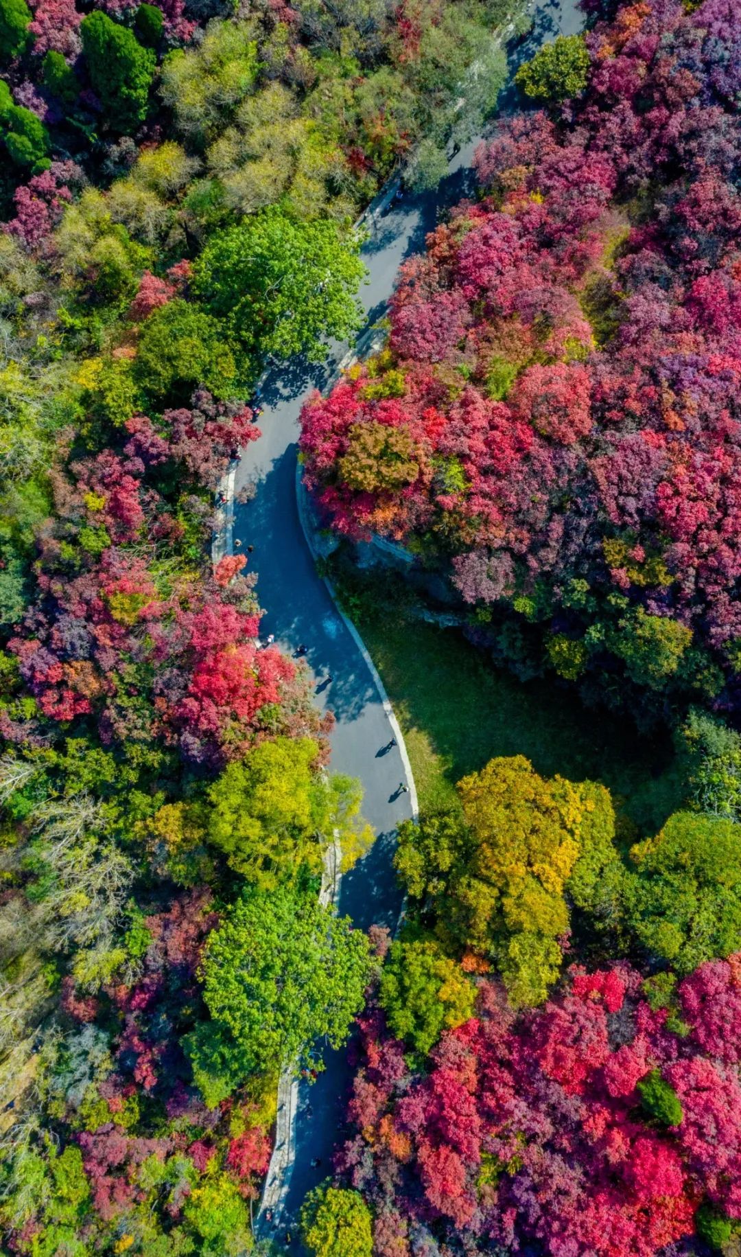 國內(nèi)有哪些海邊可以露營看星星的地方推薦