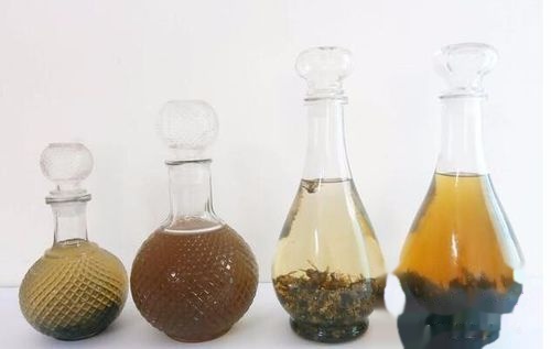 胡蜂泡酒的藥用價(jià)值（馬蜂泡酒有什么功效）